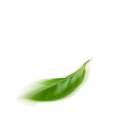 dsvavzxc 1 dsvavzxc 1