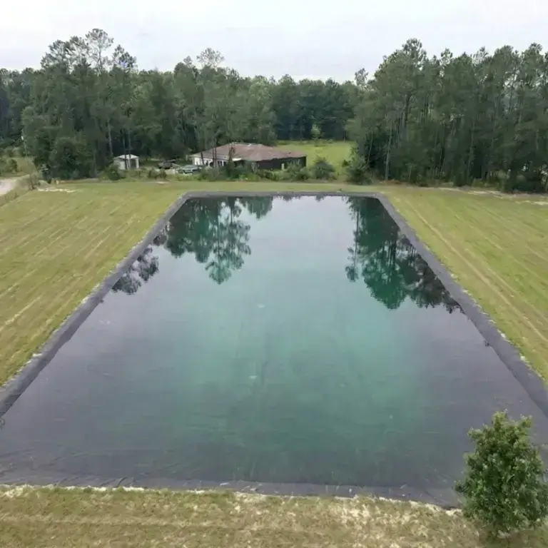 pond_top_768x768_crop